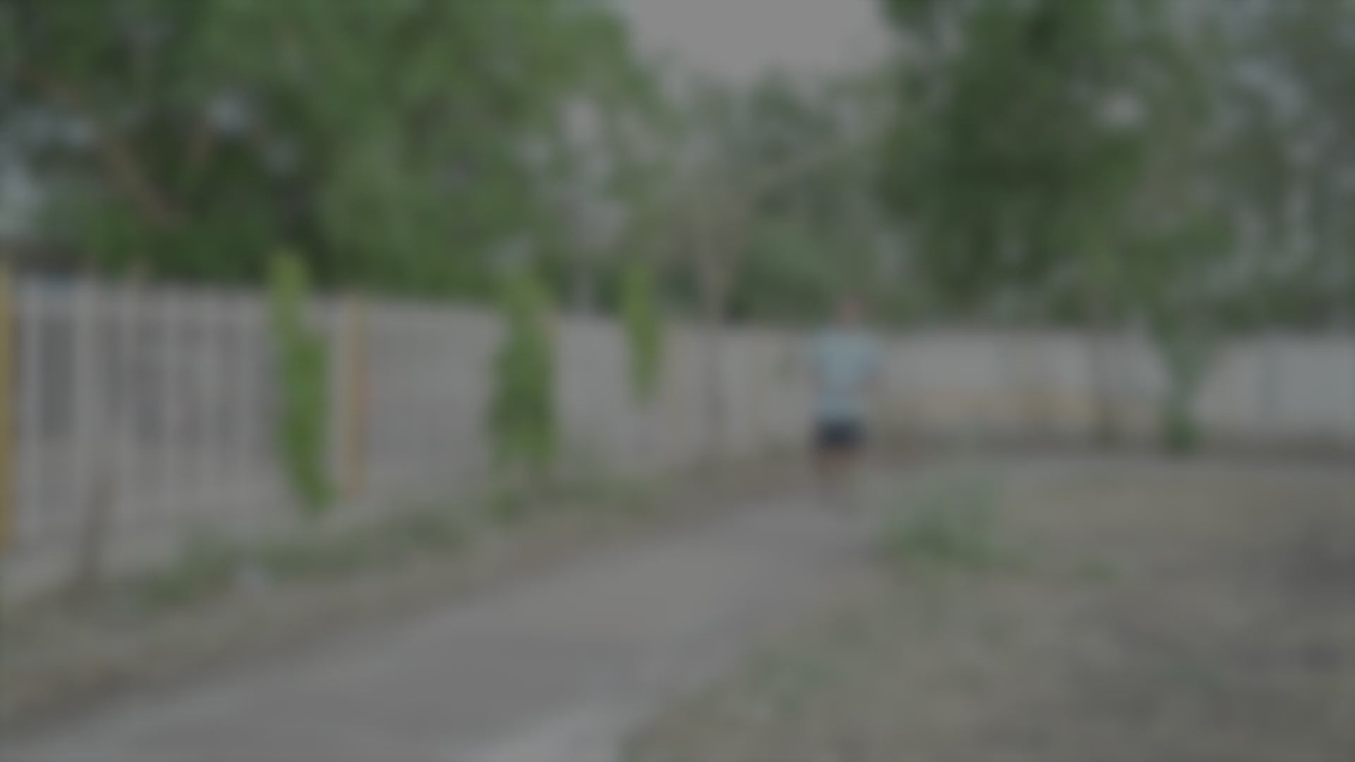 Wipness Instant Relief Patches – Knee, Back & Shoulder Pain